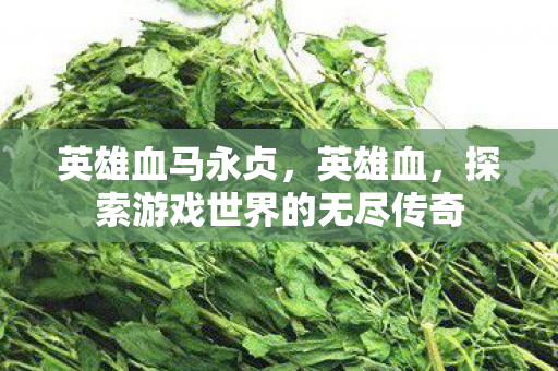 英雄血马永贞，英雄血，探索游戏世界的无尽传奇