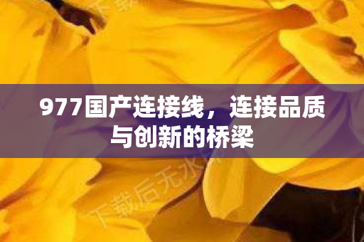977国产连接线，连接品质与创新的桥梁