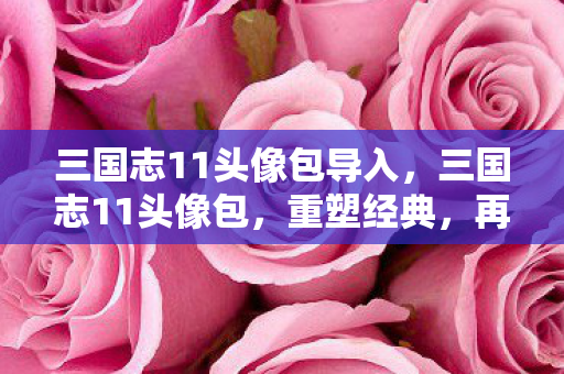 三国志11头像包导入，三国志11头像包，重塑经典，再现群雄逐鹿