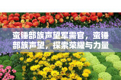 蛮锤部族声望军需官，蛮锤部族声望，探索荣耀与力量的传奇之旅