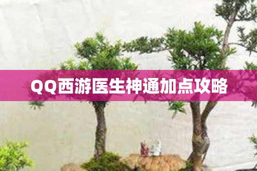 QQ西游医生神通加点攻略
