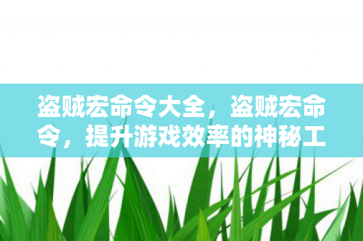 盗贼宏命令大全，盗贼宏命令，提升游戏效率的神秘工具