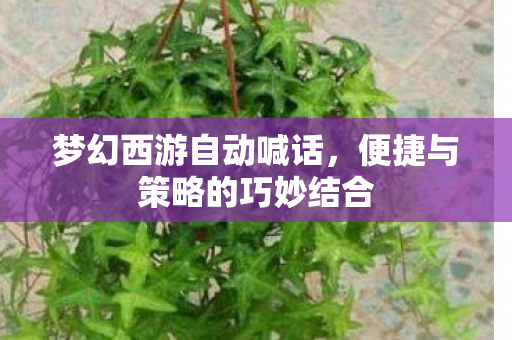 梦幻西游自动喊话，便捷与策略的巧妙结合