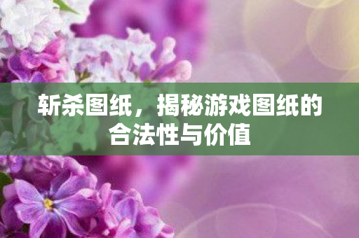 斩杀图纸，揭秘游戏图纸的合法性与价值