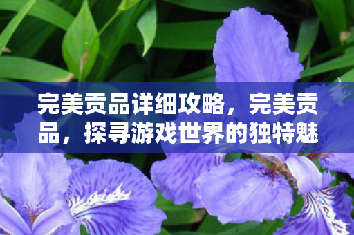 完美贡品详细攻略，完美贡品，探寻游戏世界的独特魅力与珍贵价值