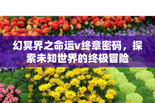 幻冥界之命运v终章密码，探索未知世界的终极冒险