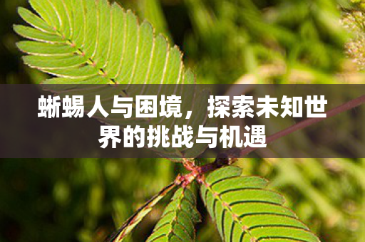 蜥蜴人与困境，探索未知世界的挑战与机遇