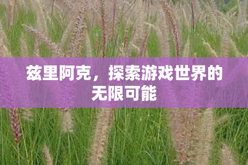 兹里阿克，探索游戏世界的无限可能