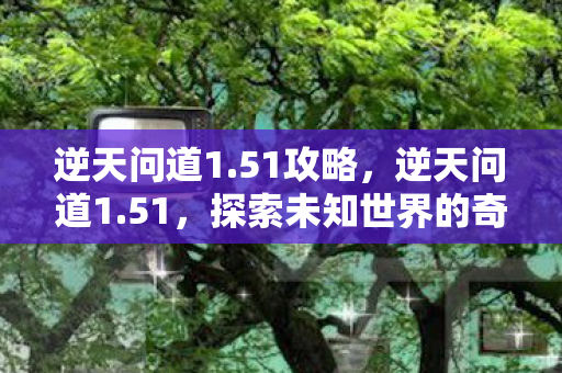 逆天问道1.51攻略，逆天问道1.51，探索未知世界的奇幻之旅