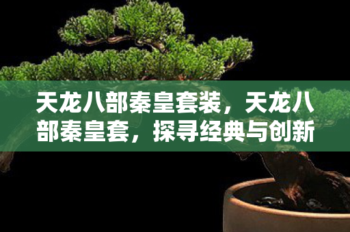 天龙八部秦皇套装，天龙八部秦皇套，探寻经典与创新的融合