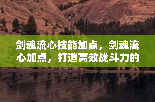 剑魂流心技能加点，剑魂流心加点，打造高效战斗力的关键