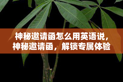 神秘邀请函怎么用英语说，神秘邀请函，解锁专属体验的奥秘