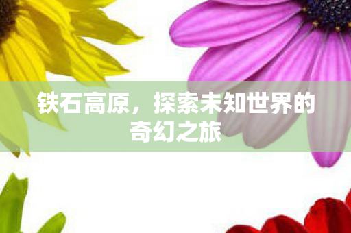 铁石高原，探索未知世界的奇幻之旅