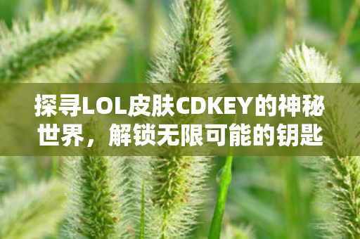 探寻LOL皮肤CDKEY的神秘世界，解锁无限可能的钥匙