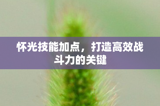 怀光技能加点，打造高效战斗力的关键