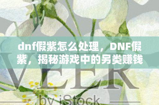 dnf假紫怎么处理，DNF假紫，揭秘游戏中的另类赚钱之道