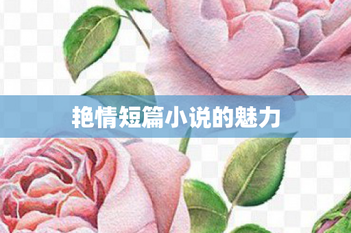 艳情短篇小说的魅力