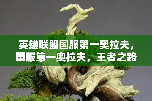 英雄联盟国服第一奥拉夫，国服第一奥拉夫，王者之路的传奇