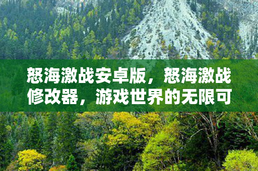 怒海激战安卓版，怒海激战修改器，游戏世界的无限可能