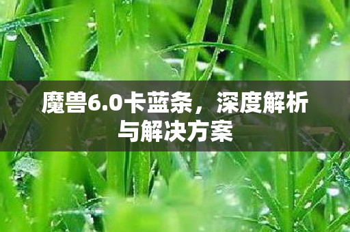 魔兽6.0卡蓝条，深度解析与解决方案