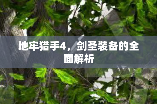 地牢猎手4，剑圣装备的全面解析