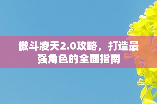 傲斗凌天2.0攻略，打造最强角色的全面指南
