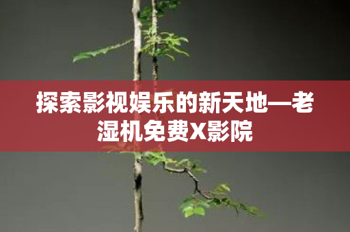 探索影视娱乐的新天地—老湿机免费X影院 探索影视娱乐的新天地—老湿机免费X影院