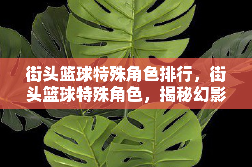 街头篮球特殊角色排行，街头篮球特殊角色，揭秘幻影刺客的篮球传奇