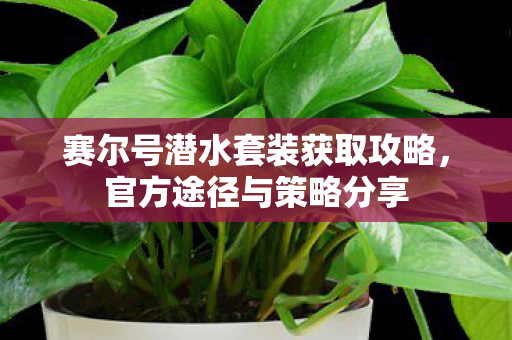 赛尔号潜水套装获取攻略，官方途径与策略分享