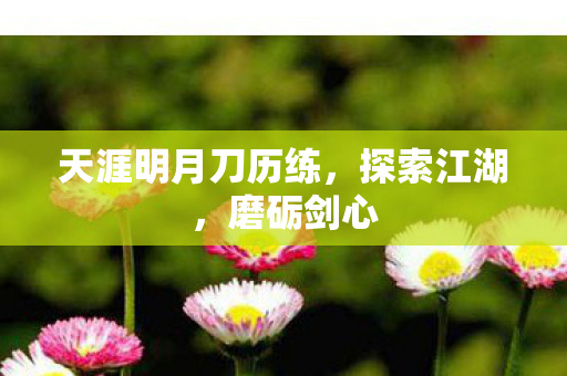 天涯明月刀历练，探索江湖，磨砺剑心