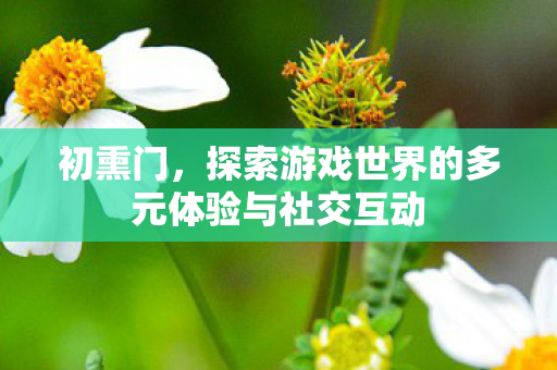 初熏门，探索游戏世界的多元体验与社交互动