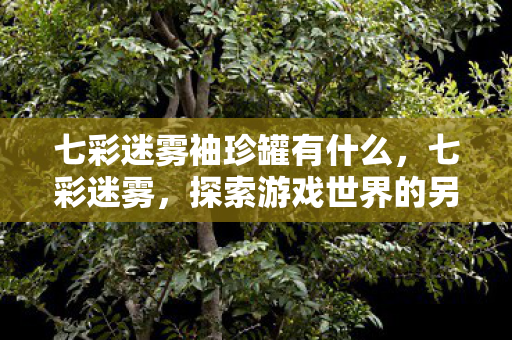 七彩迷雾袖珍罐有什么，七彩迷雾，探索游戏世界的另类选择