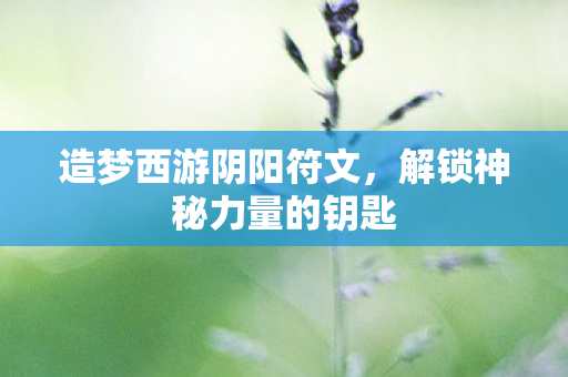 造梦西游阴阳符文，解锁神秘力量的钥匙