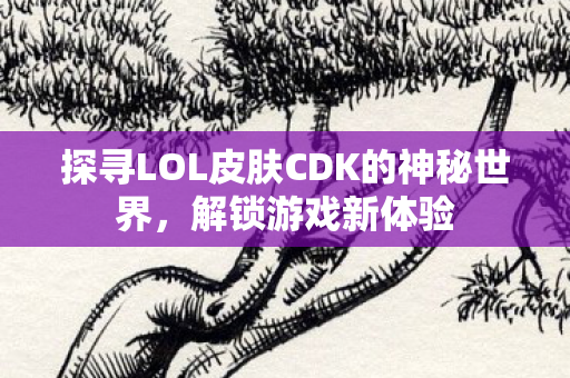 探寻LOL皮肤CDK的神秘世界，解锁游戏新体验
