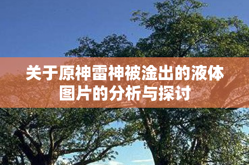 关于原神雷神被淦出的液体图片的分析与探讨