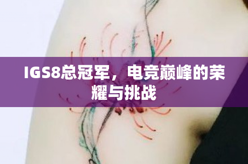 IGS8总冠军，电竞巅峰的荣耀与挑战