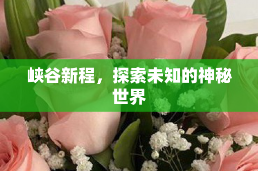 峡谷新程,探索未知的神秘世界 峡谷新程,探索未知的神秘世界