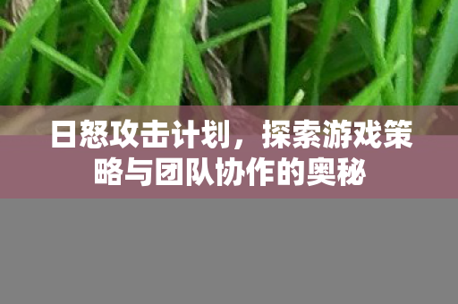 日怒攻击计划，探索游戏策略与团队协作的奥秘