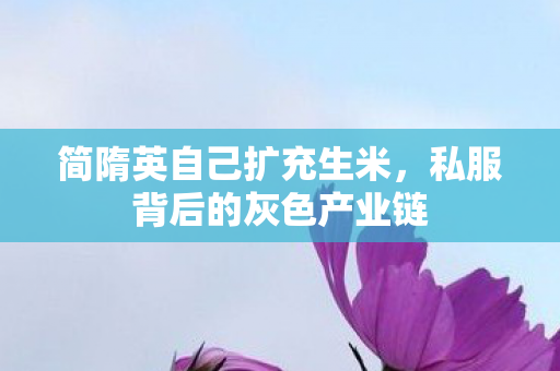 简隋英自己扩充生米，私服背后的灰色产业链