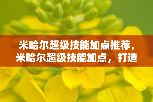 米哈尔超级技能加点推荐，米哈尔超级技能加点，打造最强战斗力的关键