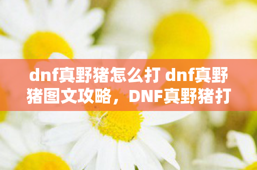 dnf真野猪怎么打 dnf真野猪图文攻略，DNF真野猪打法详解，挑战与策略并存