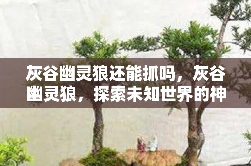 灰谷幽灵狼还能抓吗，灰谷幽灵狼，探索未知世界的神秘生物