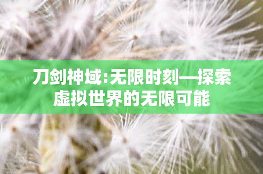 刀剑神域:无限时刻—探索虚拟世界的无限可能