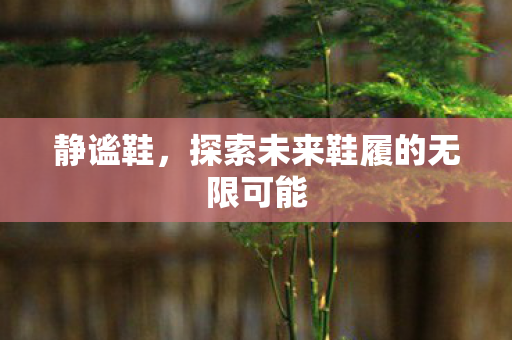 静谧鞋，探索未来鞋履的无限可能