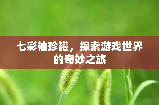 七彩袖珍罐，探索游戏世界的奇妙之旅