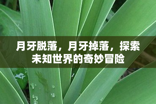 月牙脱落，月牙掉落，探索未知世界的奇妙冒险