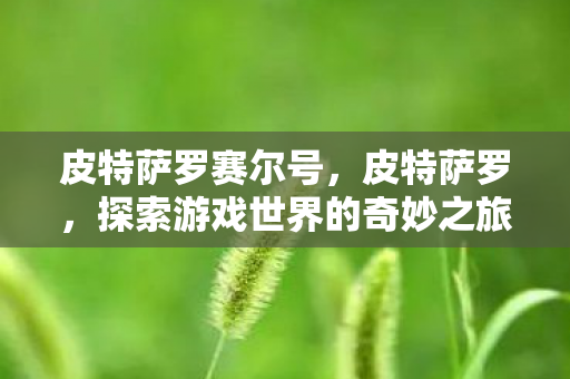 皮特萨罗赛尔号，皮特萨罗，探索游戏世界的奇妙之旅