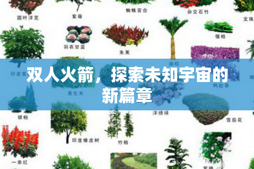 双人火箭，探索未知宇宙的新篇章