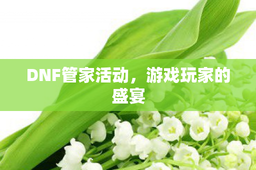 DNF管家活动，游戏玩家的盛宴