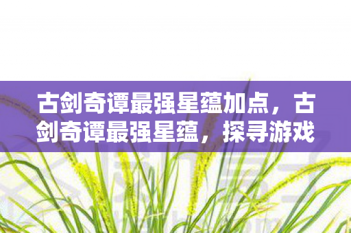 古剑奇谭最强星蕴加点，古剑奇谭最强星蕴，探寻游戏世界的奥秘